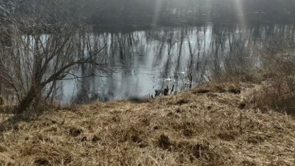 В Порховском районе проводится проверка по сообщению о гибели мужчины в водоеме