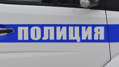 В Порховском районе полицией раскрыта дачная кража